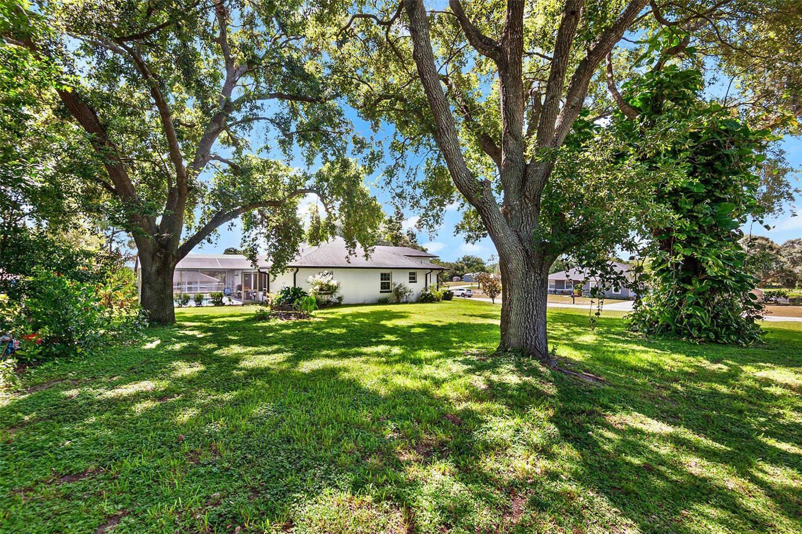 SPRING PINES WEST - Residential