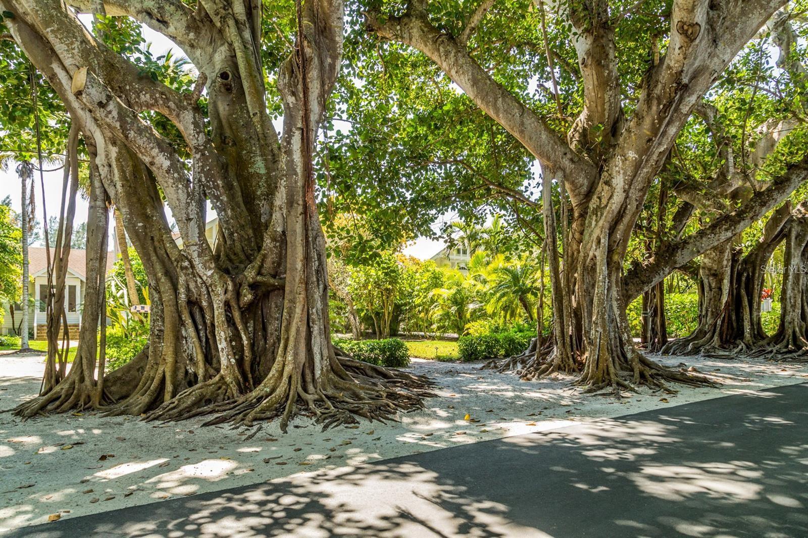 ROTONDA SANDS - Residential