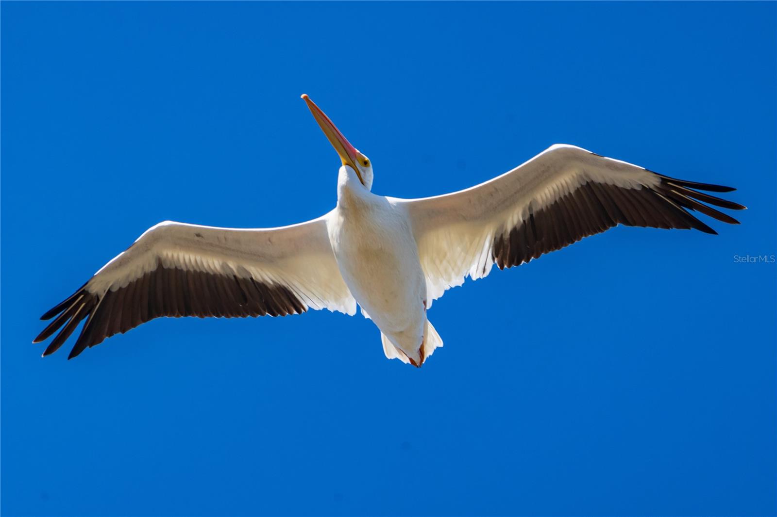 ROTONDA SANDS - Residential