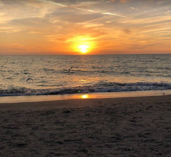 ROTONDA SANDS - Residential