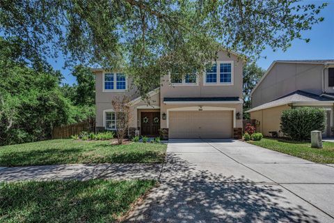 Photo of 5820 Tulip Flower Drive, Riverview, FL 33578 (MLS # TB8501816)