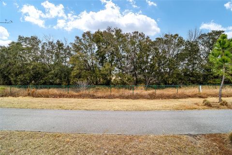 Tiny photo for 5361 NW 48th Place, Ocala, FL 34482 (MLS # OM719898)