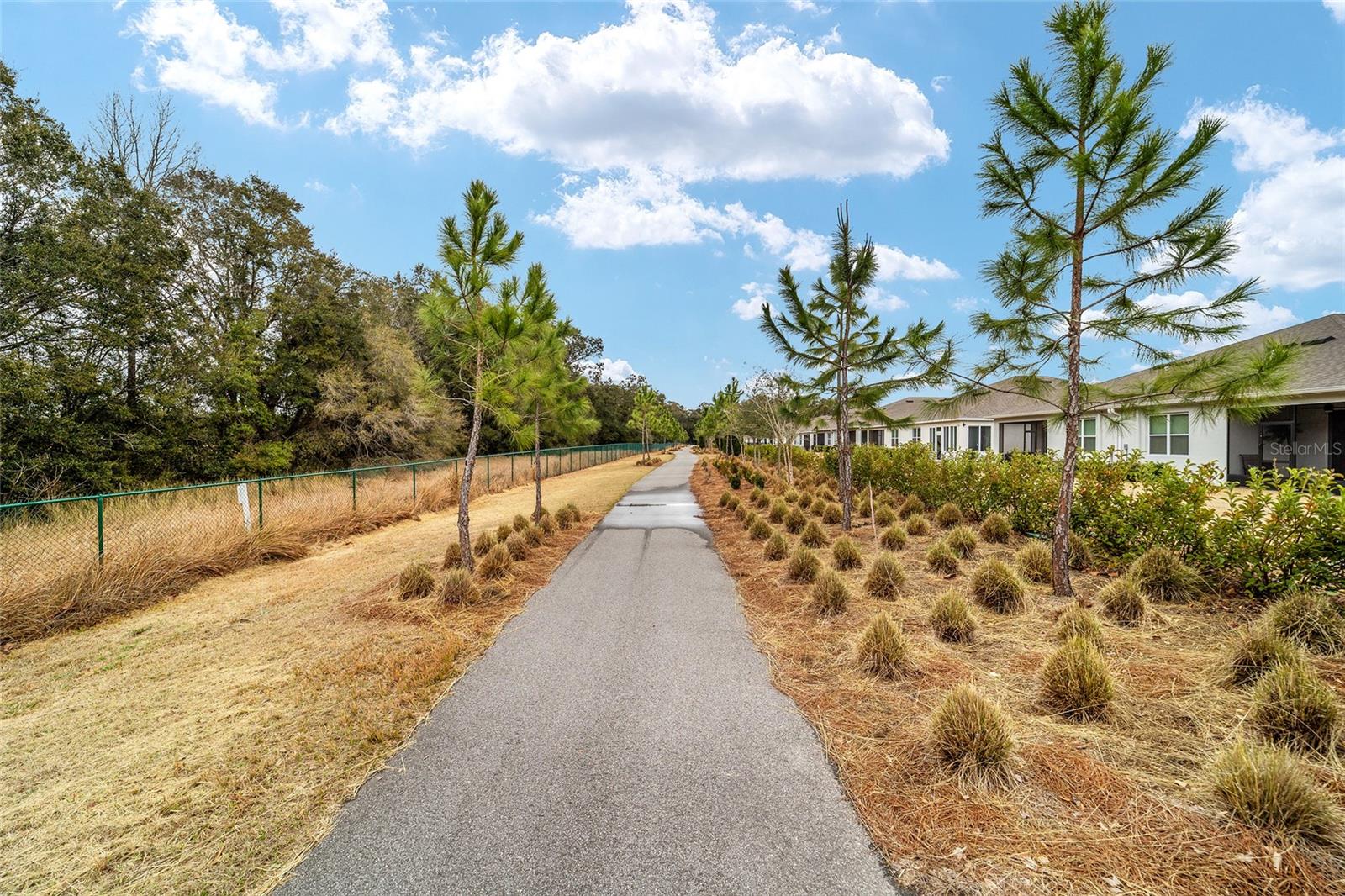 OCALA PRESERVE - Residential