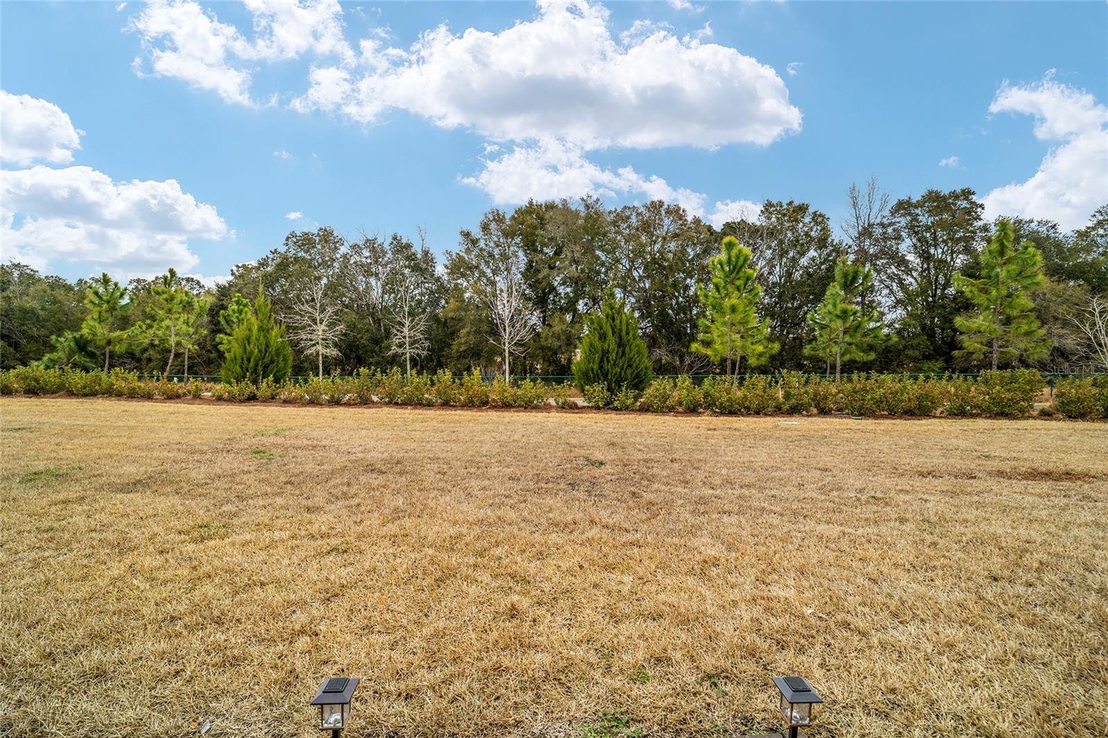 OCALA PRESERVE - Residential