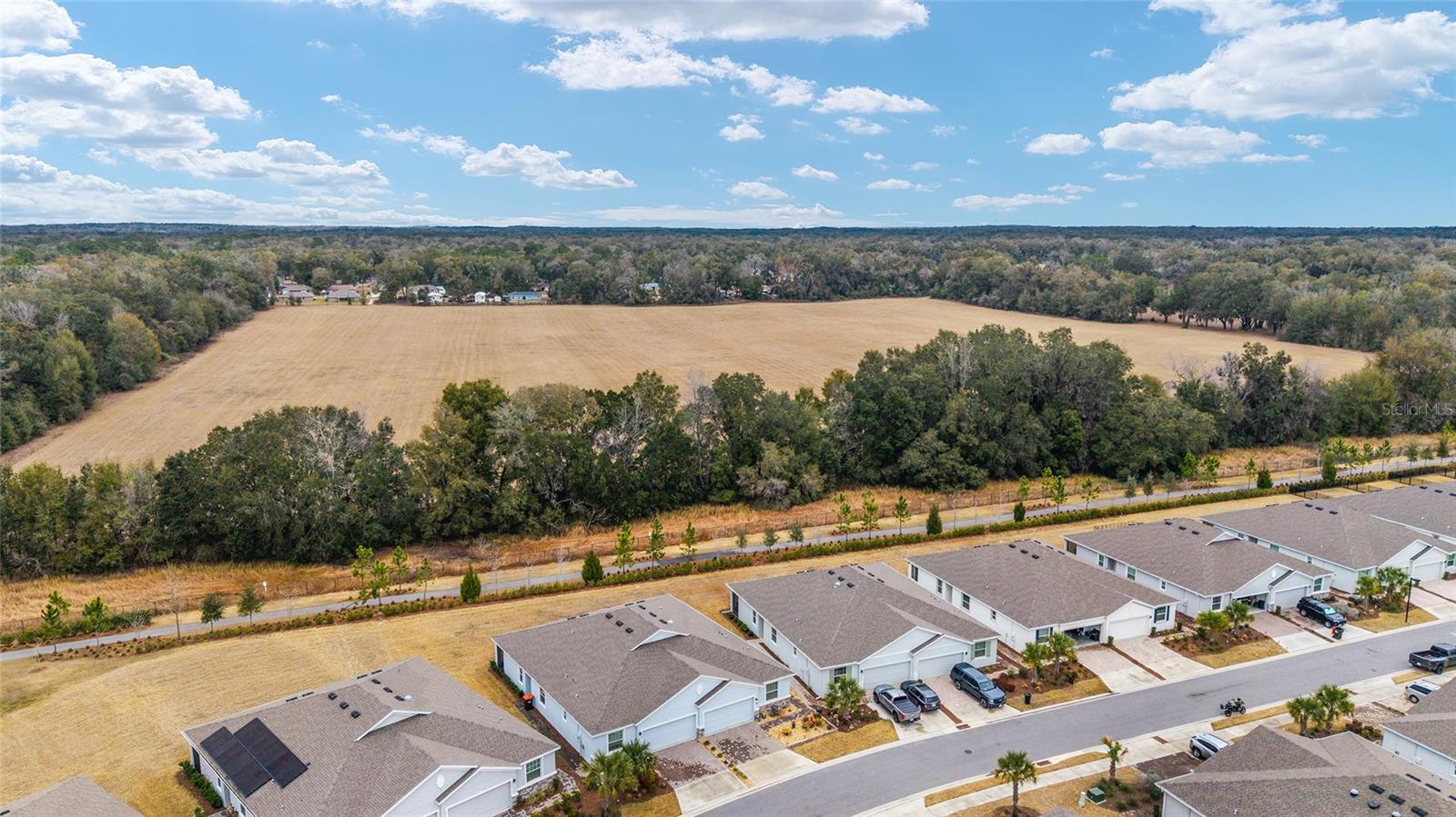 OCALA PRESERVE - Residential