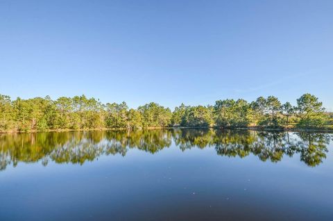 A home in LAND O LAKES