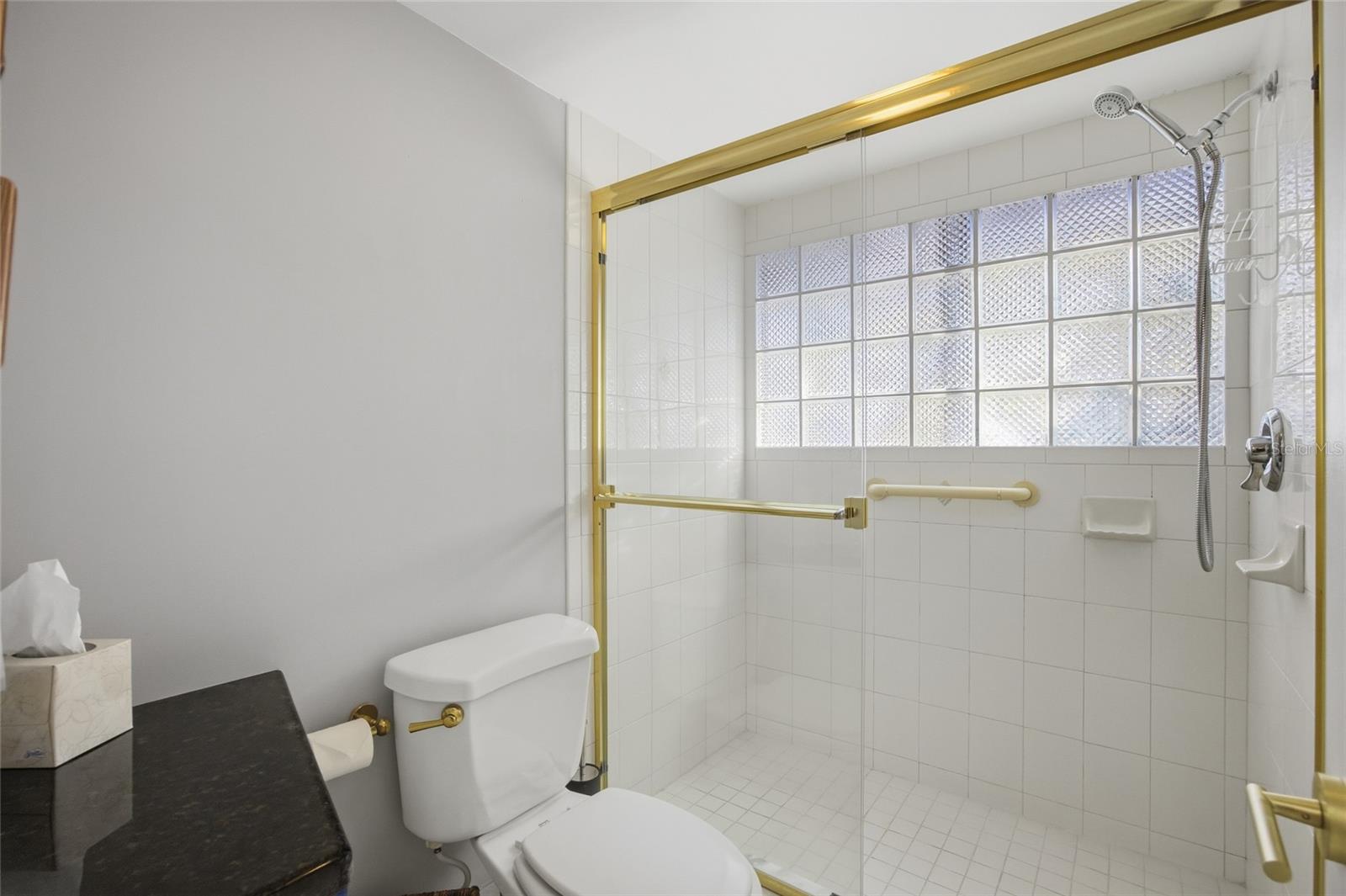 PINNACLE OF TIERRA VERDE - Residential