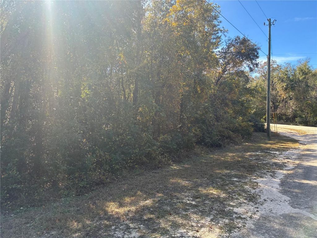 Photo of 15470 Cave Swallow Road, Brooksville, FL 34614 (MLS # G5104699)