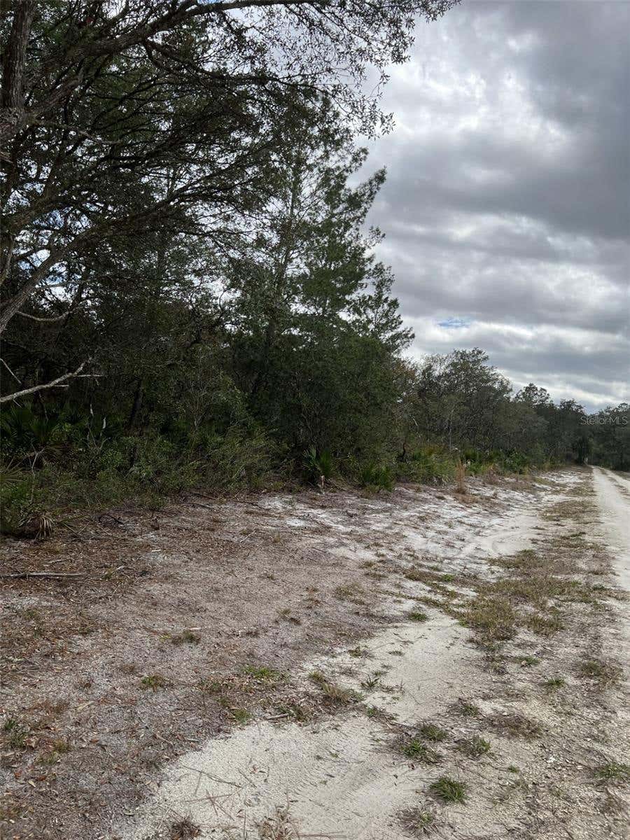 Photo of 0 NE 144th Court, Fort Mccoy, FL 32134 (MLS # OM725497)