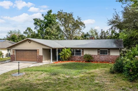 A home in DELTONA