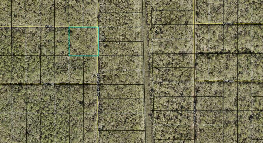 Here is your opportunity to own 2 acres in Flagler Estates located in Flagler County, Florida!