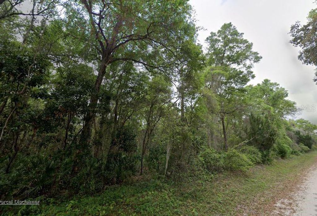 Photo of 88 NE 463rd Avenue, Old Town, FL 32680 (MLS # A4692247)