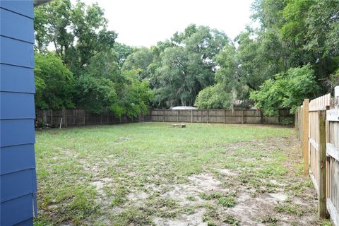 A home in MOUNT DORA