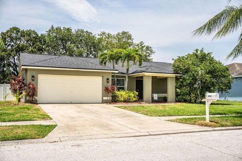 A home in RIVERVIEW