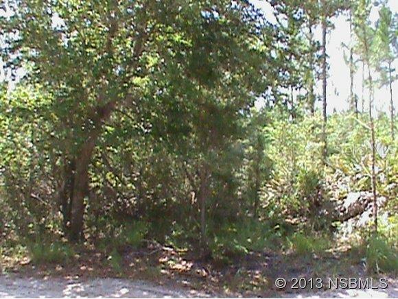 Quail Roost Ranches Unrec 202 - Land