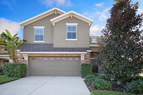 16016 PERSIMMON GROVE DRIVE LITHIA FL 33547