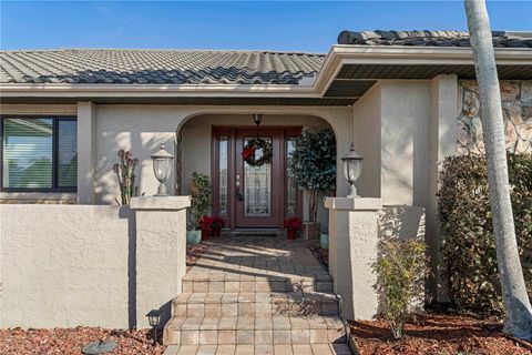 A home in PUNTA GORDA