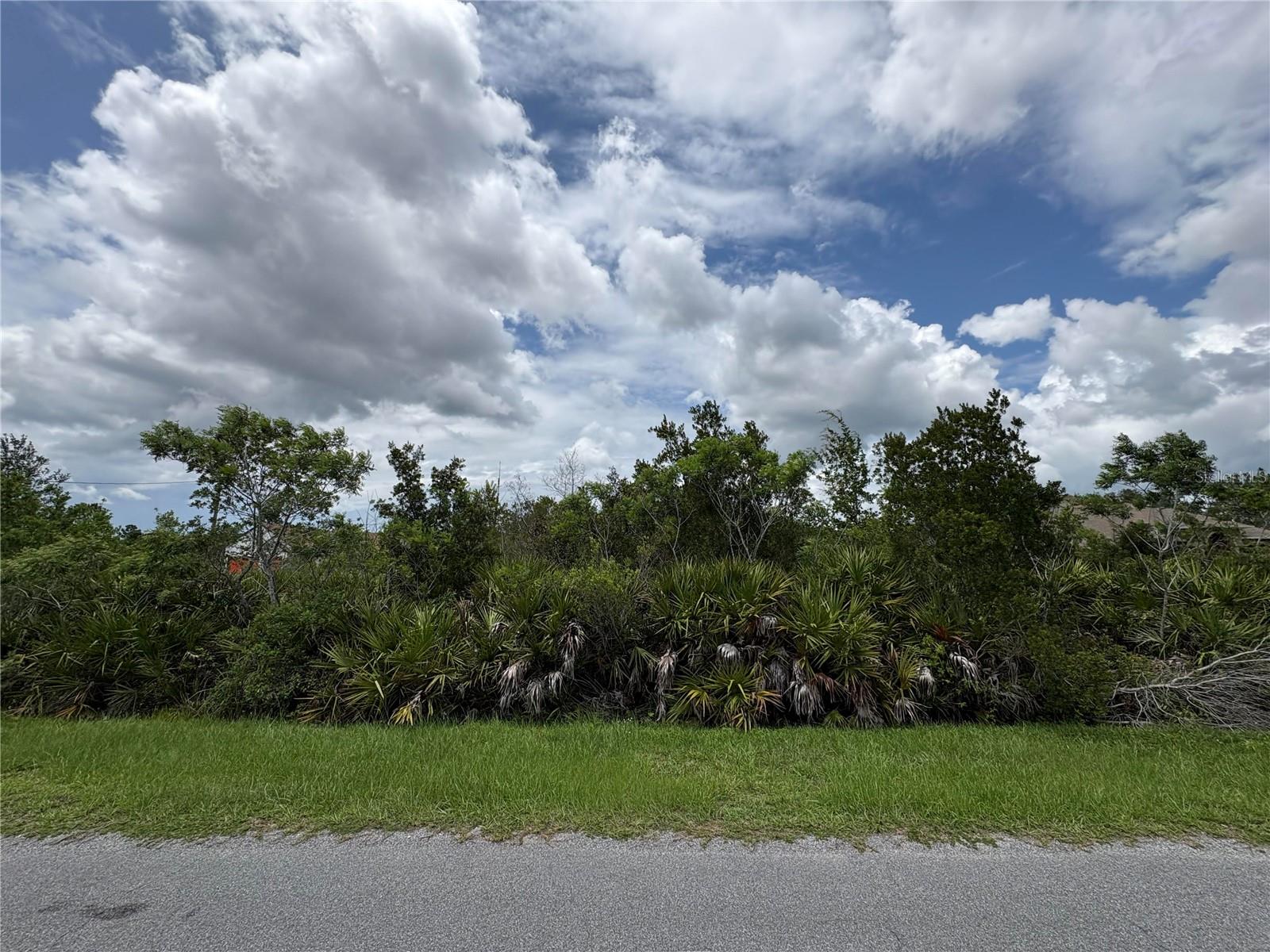Spanning over 2.17 acres, this vacant residential lot on Ortega Street offers a prime opportunity in the quiet Rocket City subdivision of East Orlando. Zoned A-2 for agricultural and rural residential use, the property provides flexibility for future development or homestead living. Nestled in a peaceful setting with no HOA, it's ideal for those seeking space, privacy, and country-style living. Located in Orange County’s 32833 zip code, the lot is within reach of city amenities while maintaining a serene, off-the-grid feel. Not in a flood zone and offering over 94,000 square feet of land, it’s a rare find, an outstanding opportunity for discerning buyers.