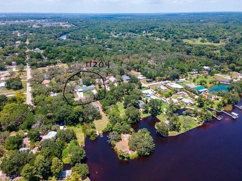 A home in RIVERVIEW