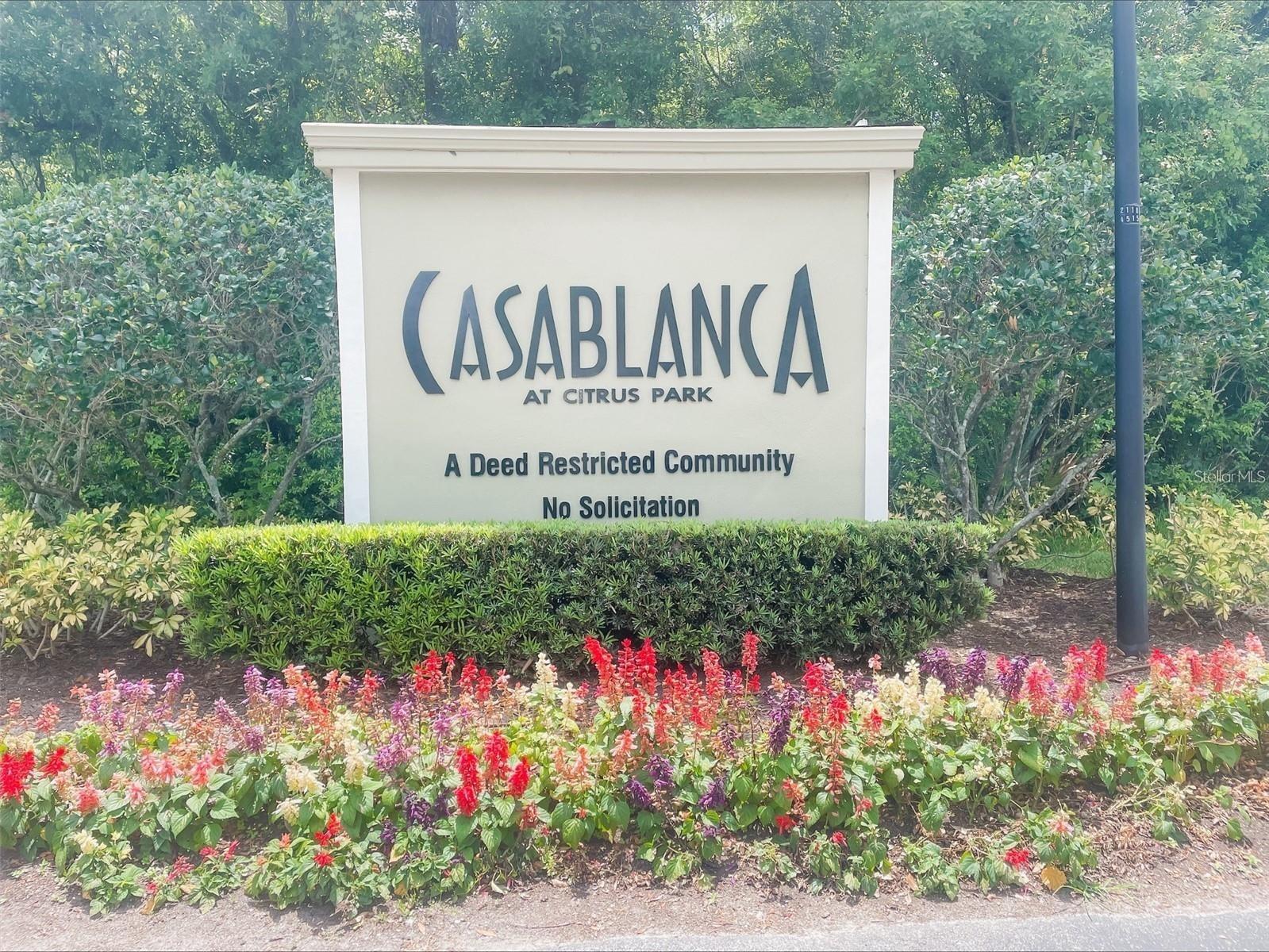 CASA BLANCA - Residential Lease