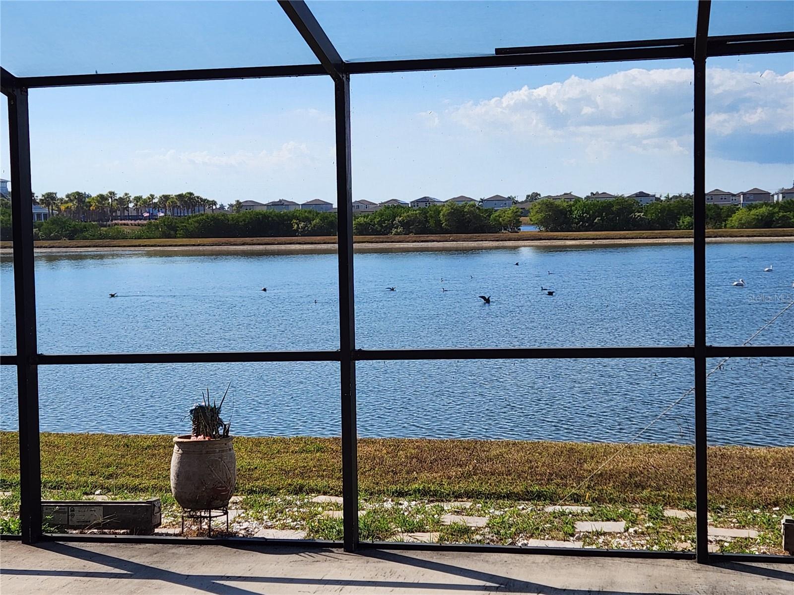 SHELL COVE PH 1 - Residential