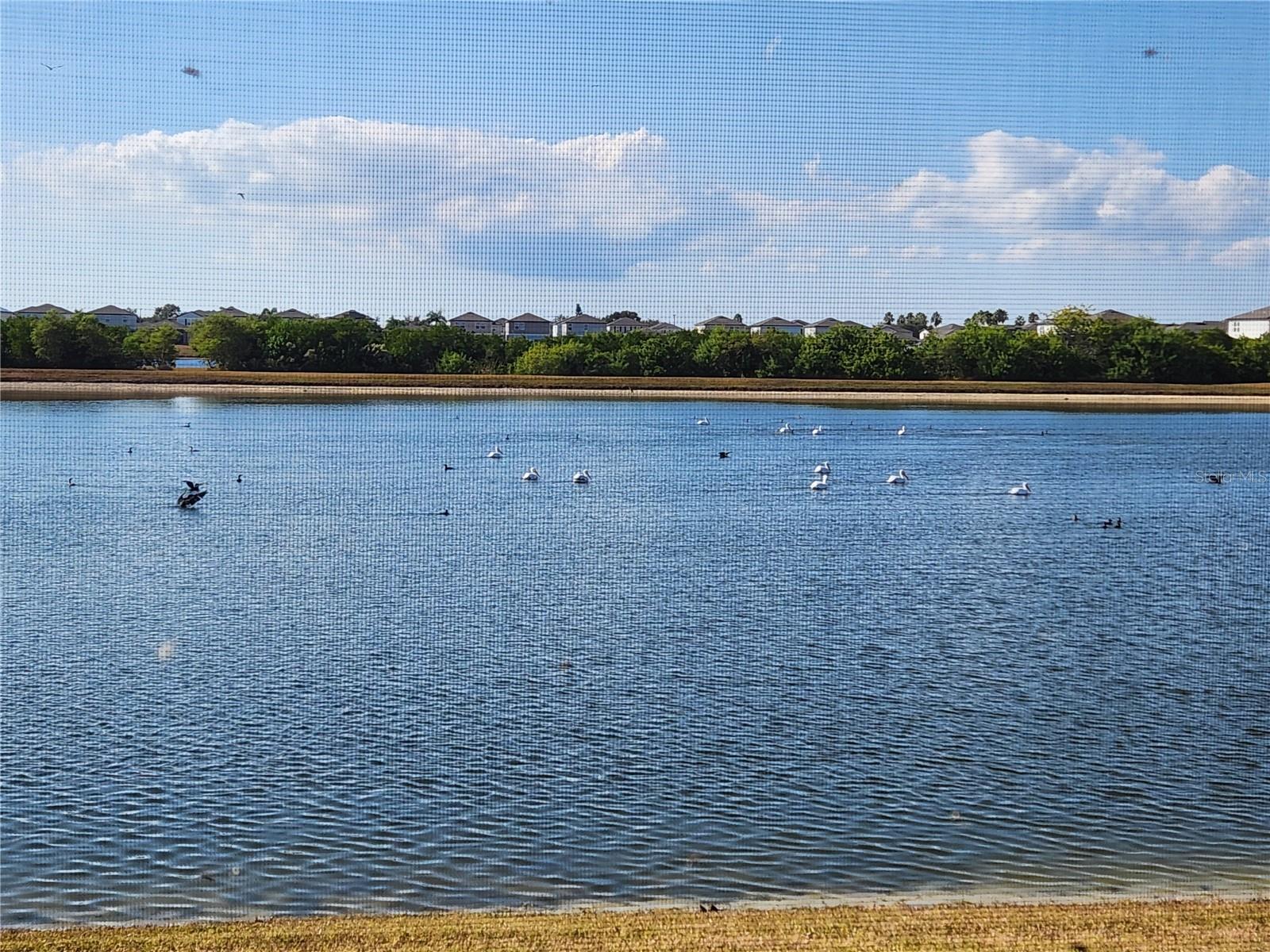 SHELL COVE PH 1 - Residential