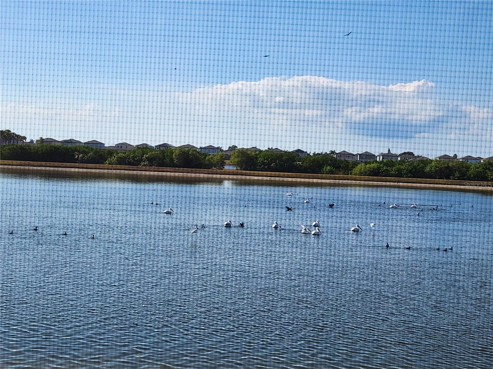 SHELL COVE PH 1 - Residential