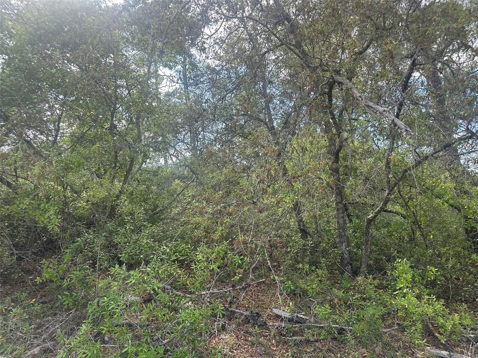 MARION OAKS UN 04 - Land