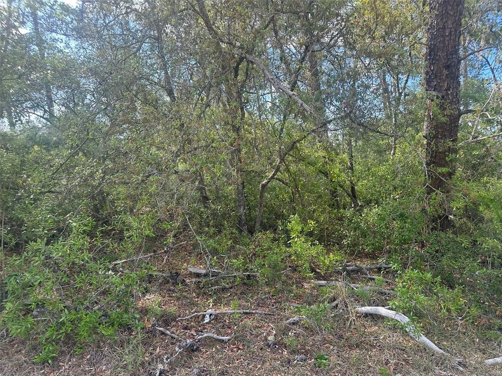 Photo of 6 SW 170th Place, Ocala, FL 34473 (MLS # OM723345)