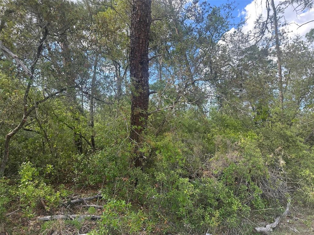 Photo of 6 SW 170th Place, Ocala, FL 34473 (MLS # OM723345)