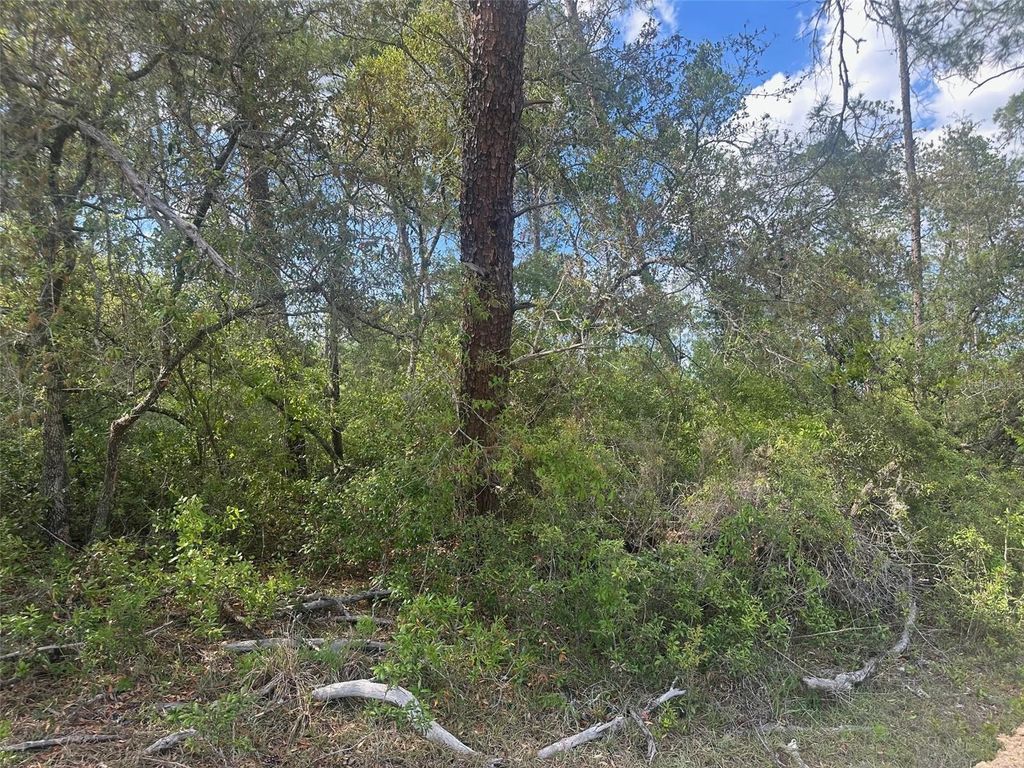 Photo of 6 SW 170th Place, Ocala, FL 34473 (MLS # OM723345)