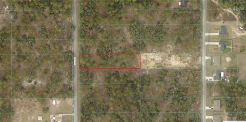 SW 206TH AVENUE DUNNELLON FL 34431