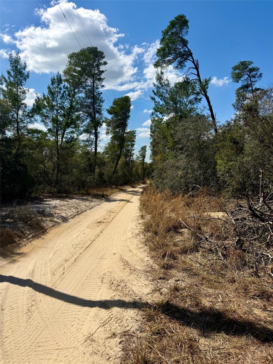 OCALA NATIONAL FOREST CAMPSITES - Residential