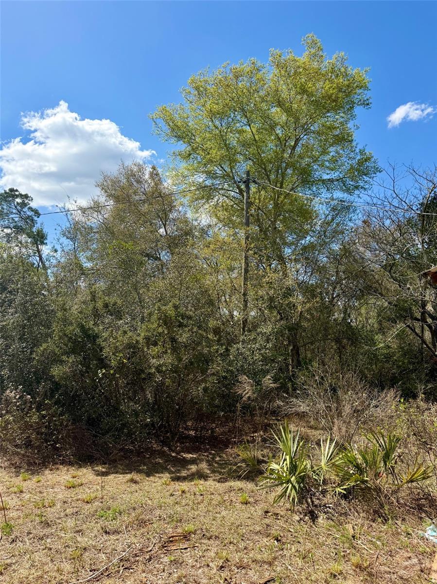 OCALA NATIONAL FOREST CAMPSITES - Residential