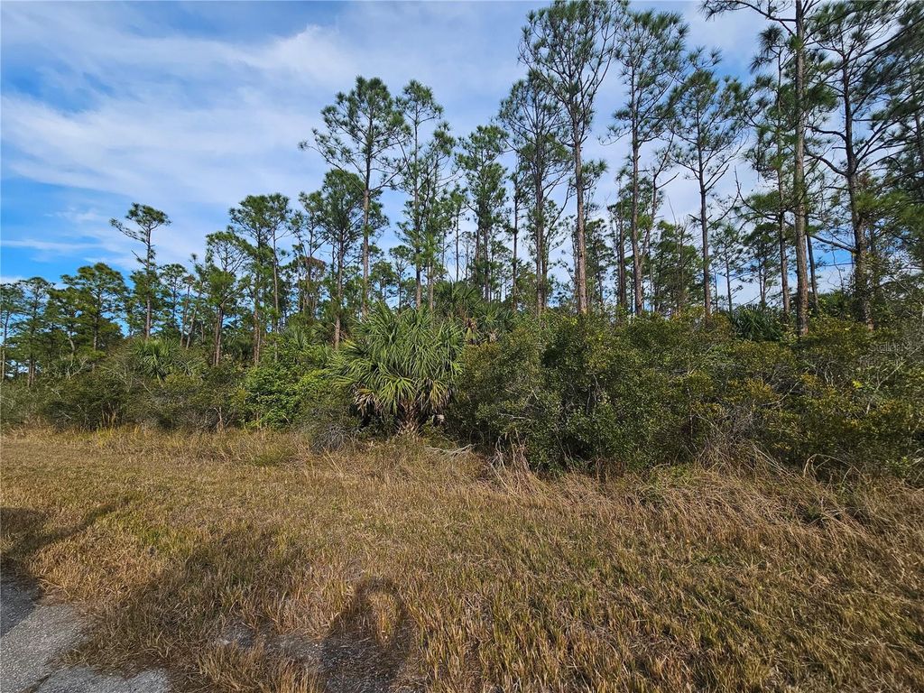 Photo of Blueleaf Drive, North Port, FL 34288 (MLS # C7521980)