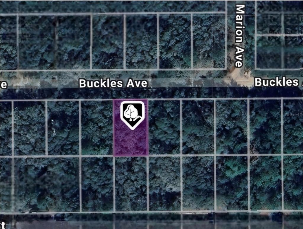 Photo of 8 Buckles Avenue, Interlachen, FL 32148 (MLS # OM711492)