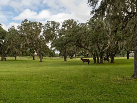 Tiny photo for 12330 NW 35th Street, Ocala, FL 34482 (MLS # OM695661)
