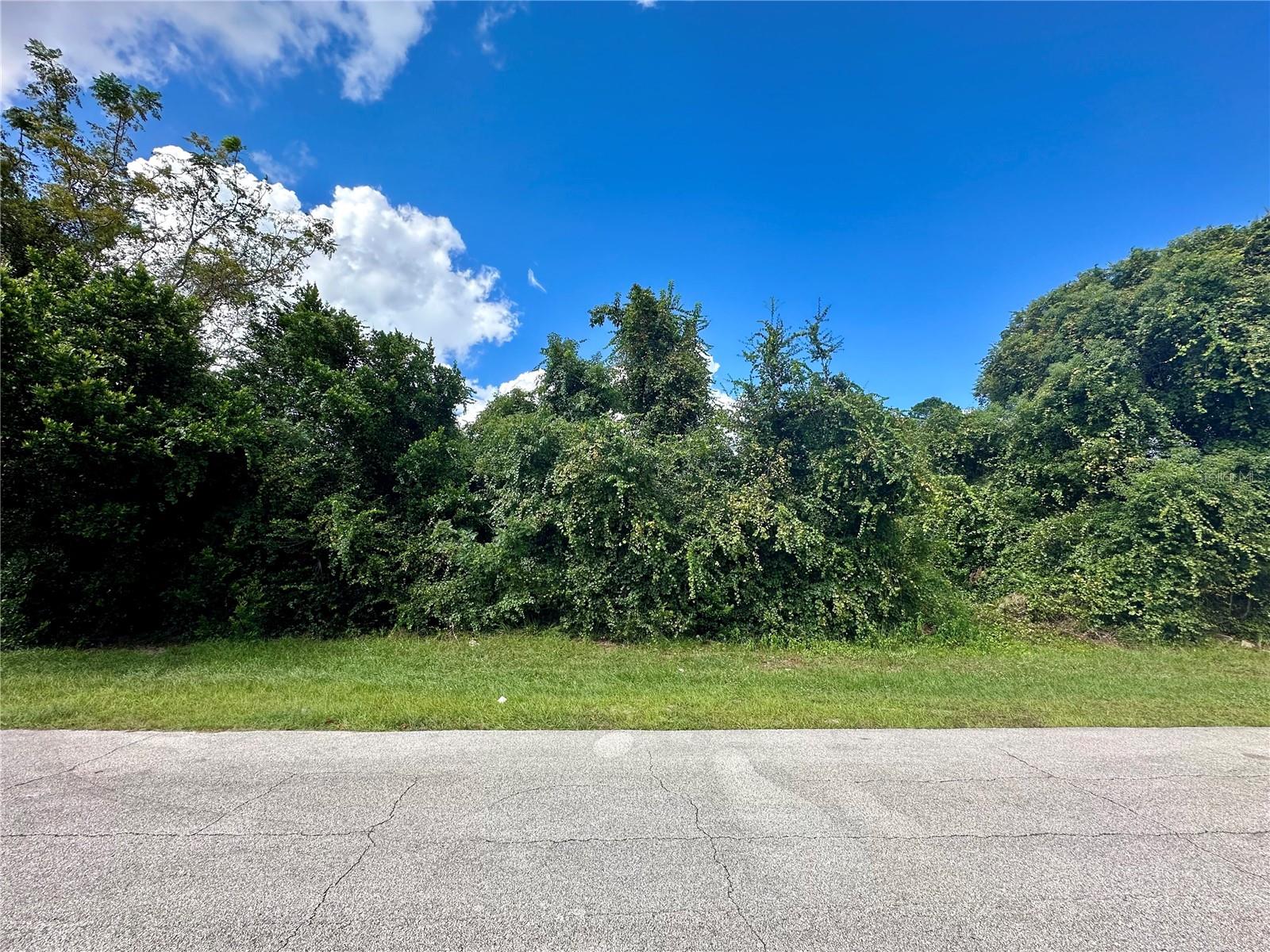 Two high and dry lots on well maintained road, minutes from town. Corner lot visible from I-4. Combined the lots make 0.12 acres and 69 ft. of road frontage. Buyer responsible for due diligence.
