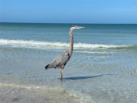 A home in CLEARWATER