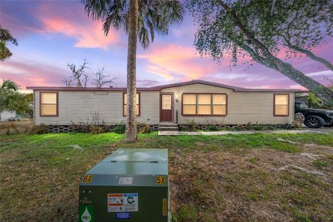 Photo of 46 Wilderness Drive, Lake Panasoffkee, FL 33538 (MLS # V4947343)