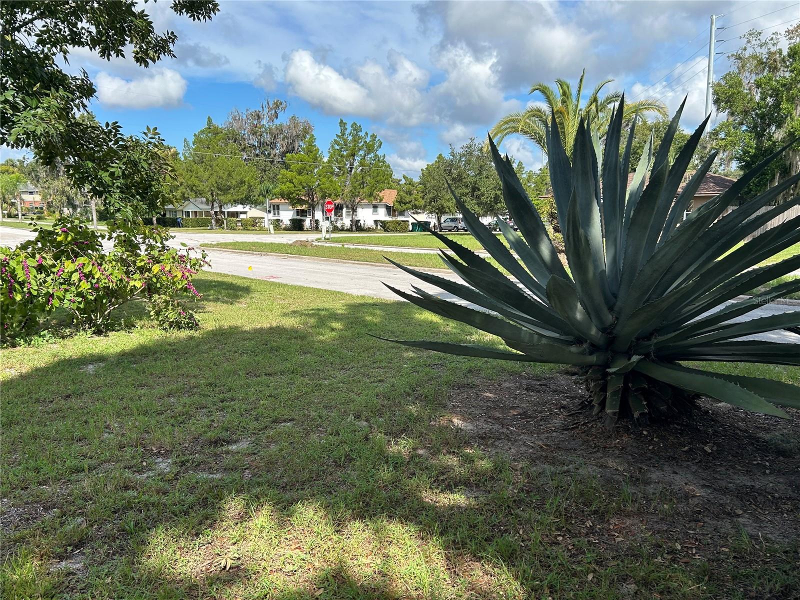 EUSTIS NORTHSHORE - Residential