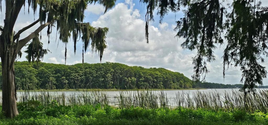 Photo of Pine Island Drive, Leesburg, FL 34788 (MLS # O6347919)