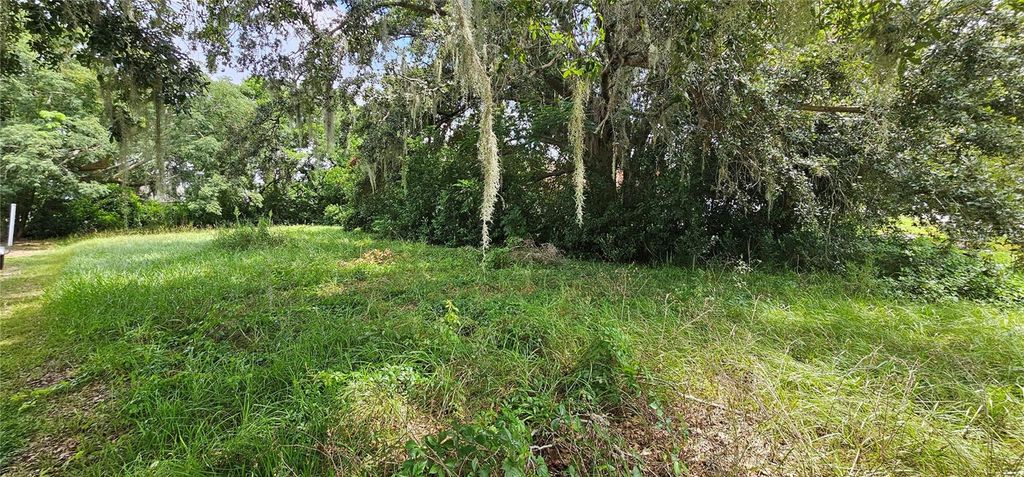 Photo of Pine Island Drive, Leesburg, FL 34788 (MLS # O6347919)