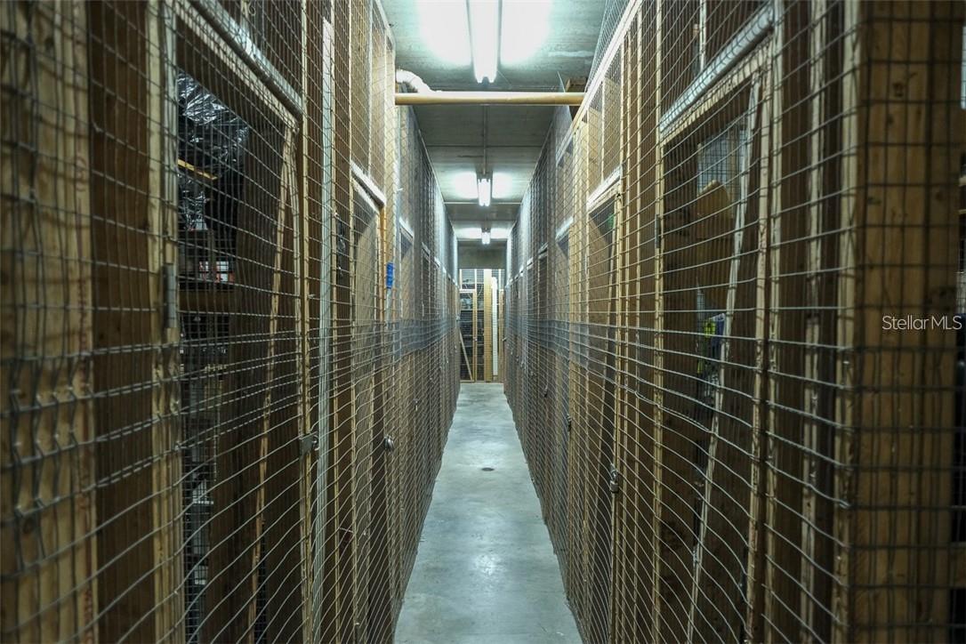 LAKE TARPON SAIL & TENNIS CLUB - Residential