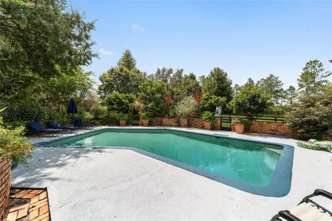 Tiny photo for 14500 NW Highway 464b, Morriston, FL 32668 (MLS # OM704711)