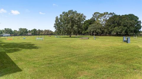 Tiny photo for 14500 NW Highway 464b, Morriston, FL 32668 (MLS # OM704711)
