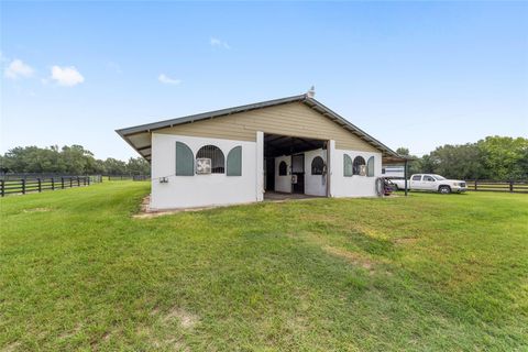 Tiny photo for 14500 NW Highway 464b, Morriston, FL 32668 (MLS # OM704711)