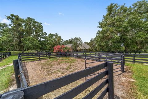 Tiny photo for 14500 NW Highway 464b, Morriston, FL 32668 (MLS # OM704711)