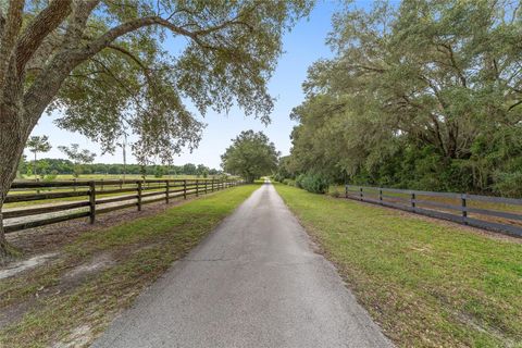 Tiny photo for 14500 NW Highway 464b, Morriston, FL 32668 (MLS # OM704711)