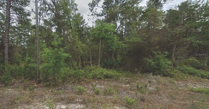 Looking to invest in Land or Build a Home? Come take a look at this .40 acre lot. Located near main roads and highways.